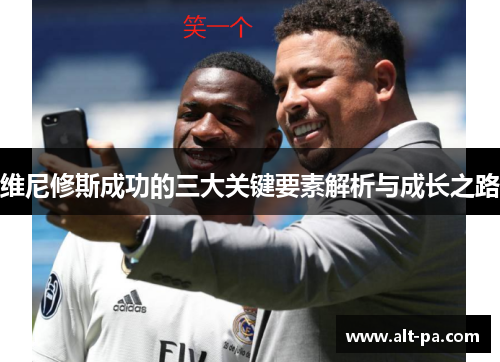 维尼修斯成功的三大关键要素解析与成长之路