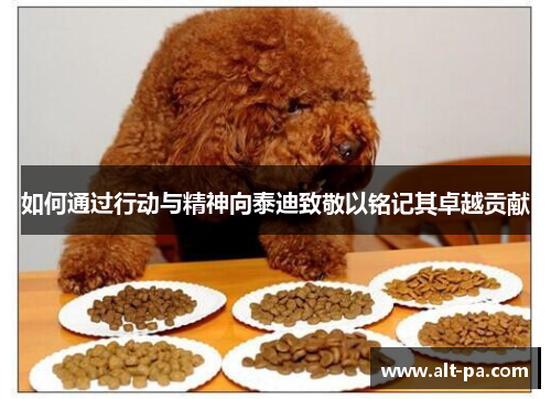 如何通过行动与精神向泰迪致敬以铭记其卓越贡献