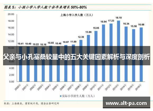 父亲与小孔塞桑较量中的五大关键因素解析与深度剖析 父亲与小孔塞桑较量中的五大关键因素解析与深度剖析