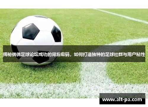 揭秘偶偶足球论坛成功的背后密码，如何打造独特的足球社群与用户粘性