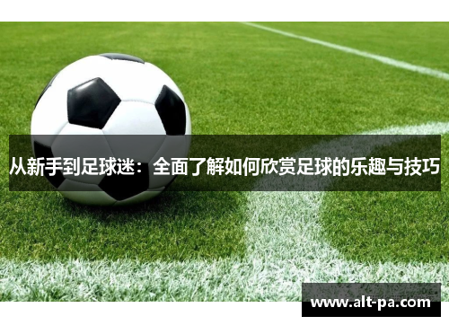 从新手到足球迷：全面了解如何欣赏足球的乐趣与技巧